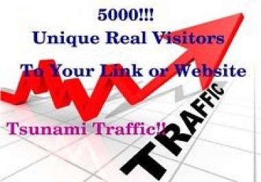 send 5000 Adsense Safe Visitors to your website blog