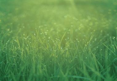 Survey Bypasser available NOW