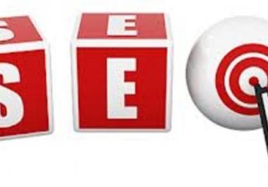 test Website as seo,  smo and End User and Tell you improvements to be done