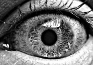 write a guest blog post or review,  and publish it on my nice PHOTOGRAPHY blog with a backlink