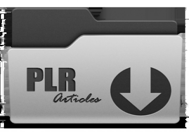 Give you 300,000 PLR Articles