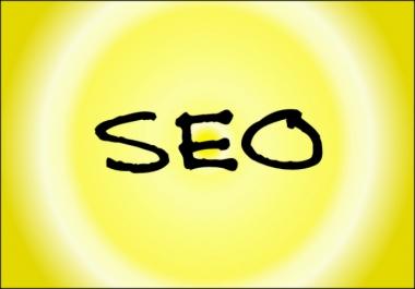 I will critique your SEO and send you a report on how to improve your score