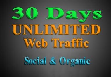 Targeted Organic & Social Media WEB TRAFFIC