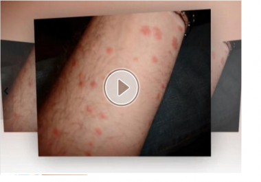 convert your 450 word articles to video format