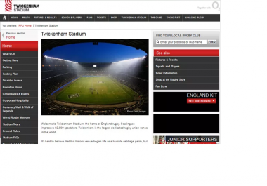 make professional website for you in your budget