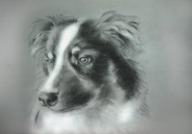 I will make a Premium Pencil Art for you