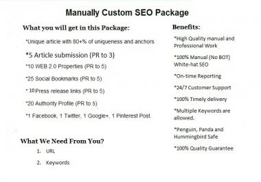 I Will Offer Manually Custom SEO Package