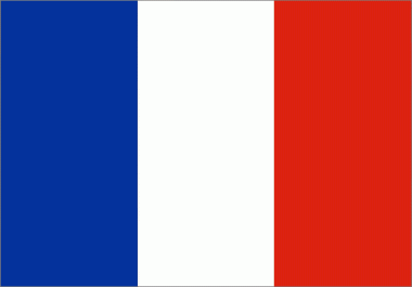 2000 Unique France Website traffic visitors