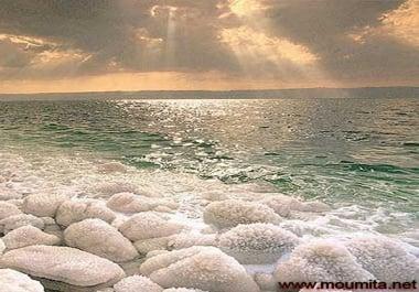 Restore your forgotten admin panel password