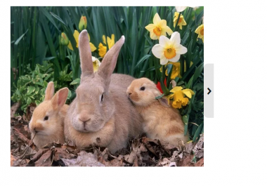 write and guest post at pr 3 Pets related blog