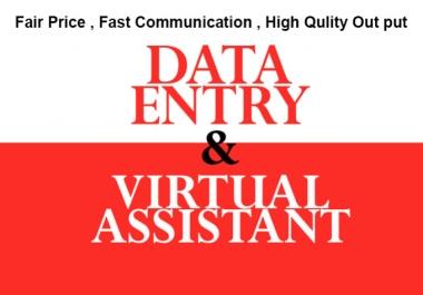 I will do Data Entry and be your Virtual Assistant upto 5 Hours