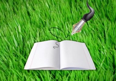 create unique about us page plus privacy policy and terms and condition of your website