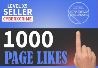 Add 1000 Fast Page on your page