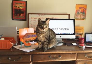 Awesome Blog Posts and Articles