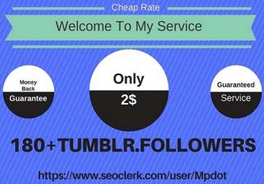 Add You Fast 180+ USA Base Tumblr Followers