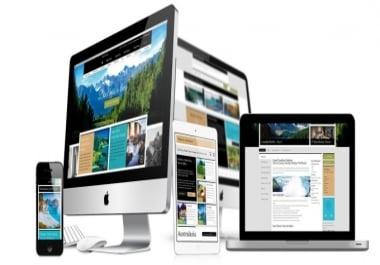 I will build professional website design