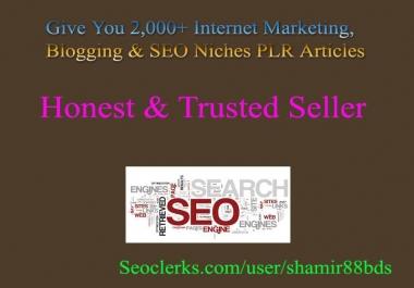 Give You 2,000+ Internet Marketing,  Blogging & SEO Niches PLR Articles