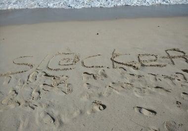 Web Designer Profesional