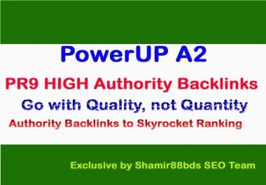 Verified 60 PR9 HIGH Authority Links to Rank 1 On Google
