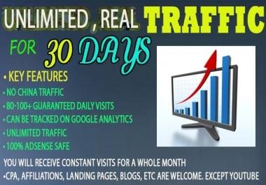I will drive real Unlimited Website TRAFFIC to your website for 30 days