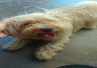 Get Strong Backlinks For Your Site