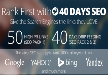 Rank you First in Google,  50 PR10 Niche Backlinks,  40days SEO