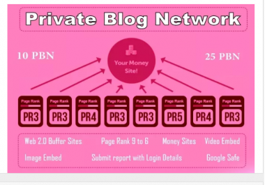 do Private Blog Network with Video Embed web2 site