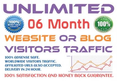 06 Month Website Promotion and Drive Visitors Traffic