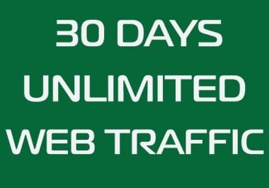 30 Days Unlimited Real Traffic By Social Platform to Website