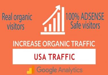 I will send daily USA keyword targeted organic traffic with low bounce rate