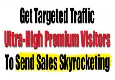 send usa niche targeted, website, traffic, visitors
