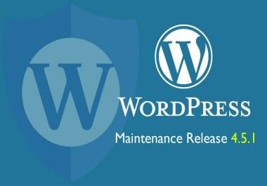 Professional upgrade your Worpdpress or your plugins or themes