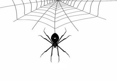 Scrape and Crawl any website