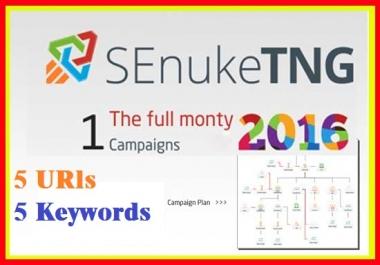 Provide Senuke TNG the Full Monty to create massive backlink diversity