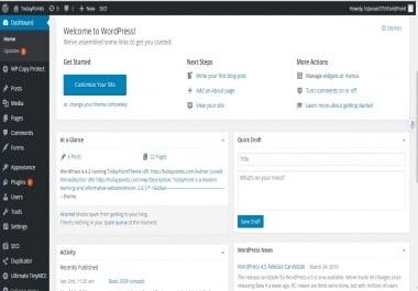 I can install and setup your wordpress website and theme