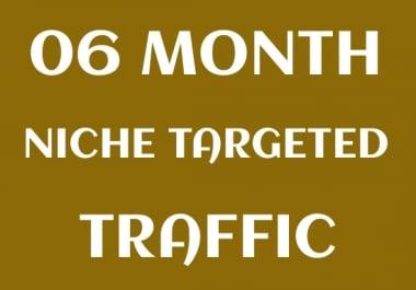 Niche Targeted 06 Month Website Visitors Traffic