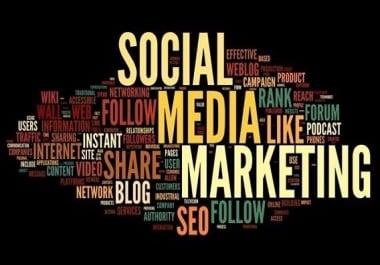 Custom Social Media Marketing service - Anything You Need