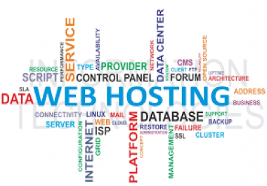 Web Hosting For 12 months