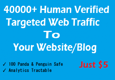 Drive 50000+ Targeted Human Verified Unique Website Traffic