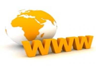Professional Website development service