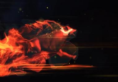 Make video intro animations For Logo and web address like sample