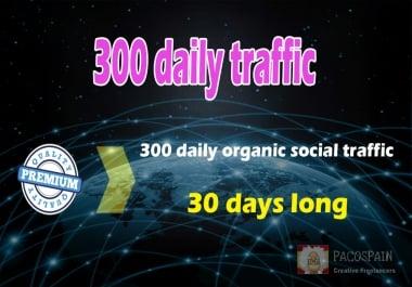 300 organic & social WEB TRAFFIC for your site