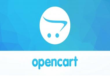 Work On Your Opencart Site