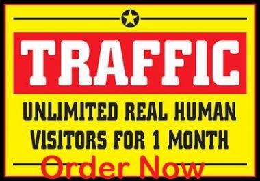 Provide one month unlimited adsense safe webtraffic