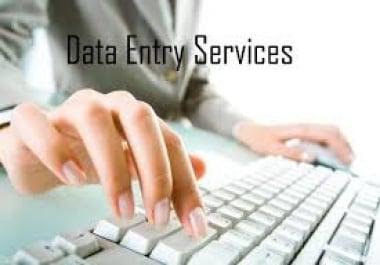 Data Entry and Web Research