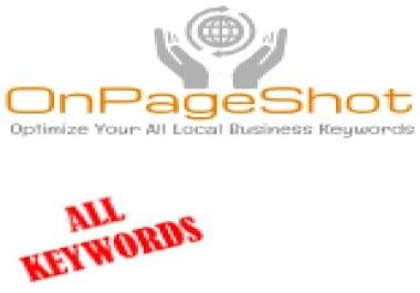 Keywords' Google Rank Report of OnPageShot Services Delivered