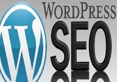 I'll do seo your wordpress website or blog