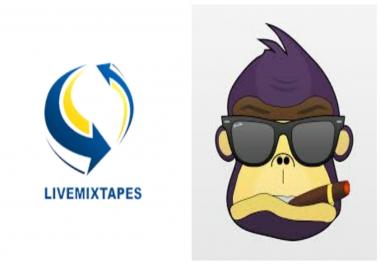 Professional Mixtape Upload Package over 25 sites included