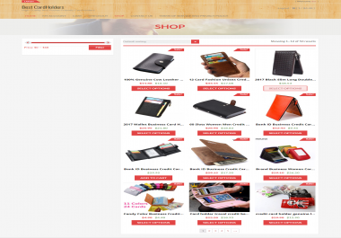 build complete autopilot Aliexpress dropshipping wordpress website for you