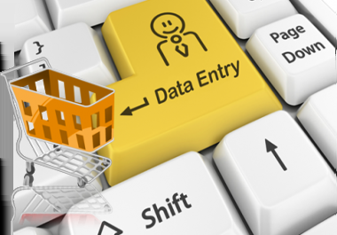 I do data entry and all writing work